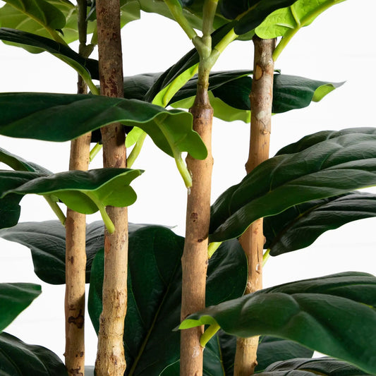 7 ft artificial fiddle leaf tree Nearly Natural with green leaves and brown trunks on Tampa Home & Garden Store