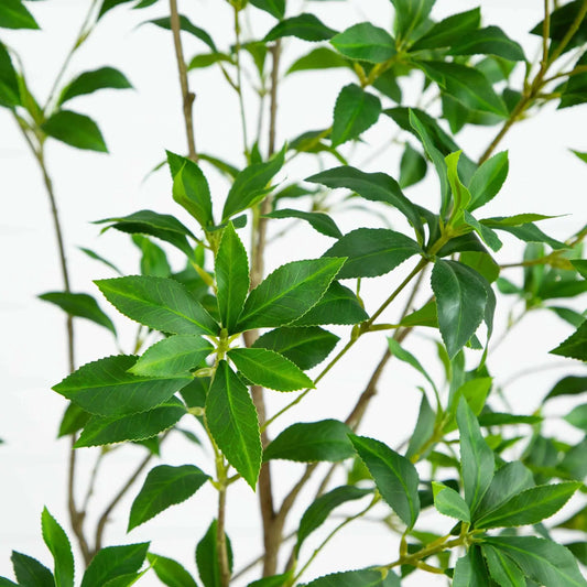 7 ft artificial Minimalist Japanese Pieris Tree with green serrated leaves, Nearly Natural on Tampa Home & Garden Store
