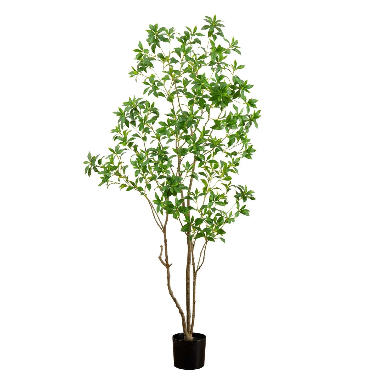 7 ft artificial minimalist Japanese Pieris tree by Nearly Natural in a black pot on Tampa Home & Garden Store