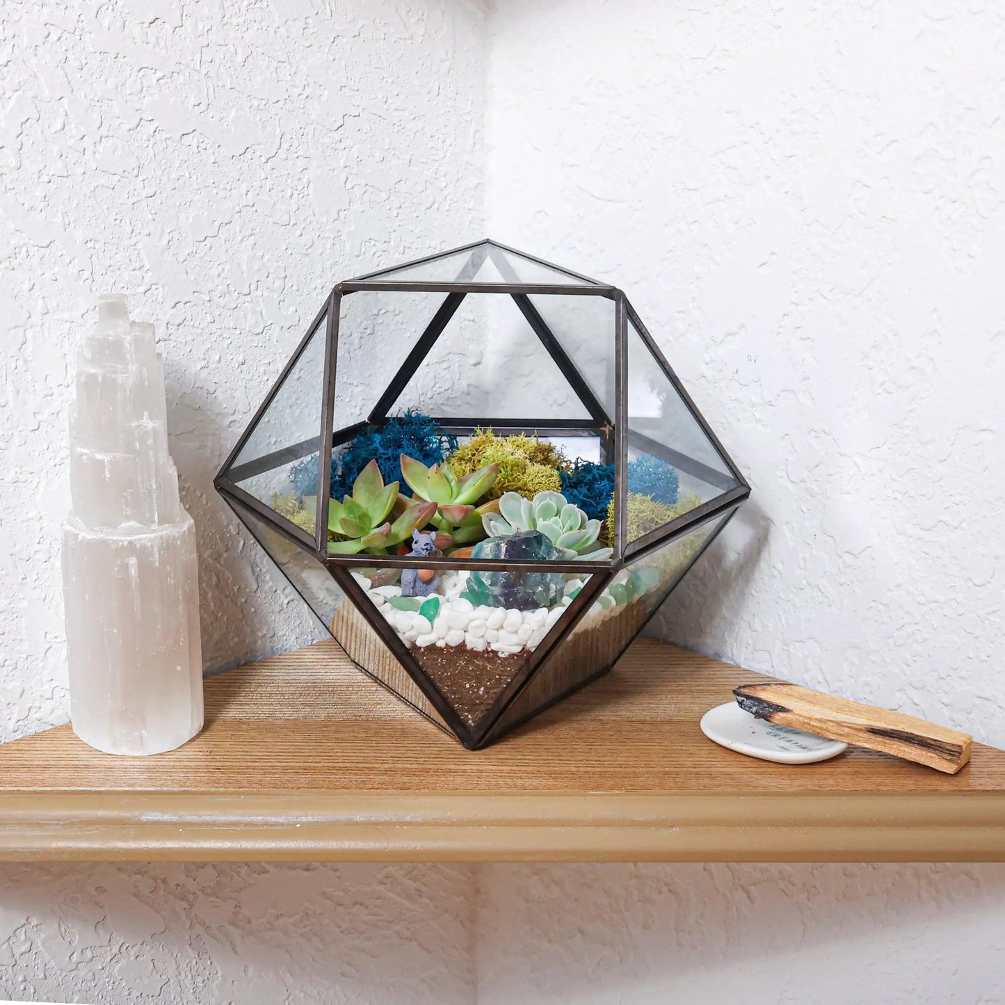 7 Inch black glass succulent terrarium kit with geometric frame and colorful succulents on Tampa Home & Garden Store