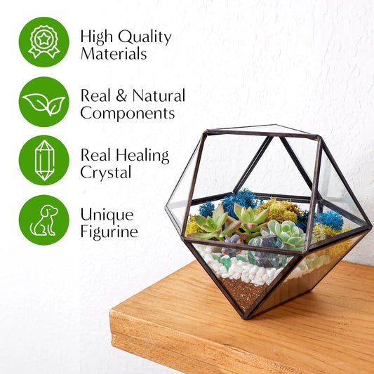 7-Inch Black Glass Succulent Terrarium Kit by Creations by Nathalie with geometric frame on Tampa Home & Garden Store