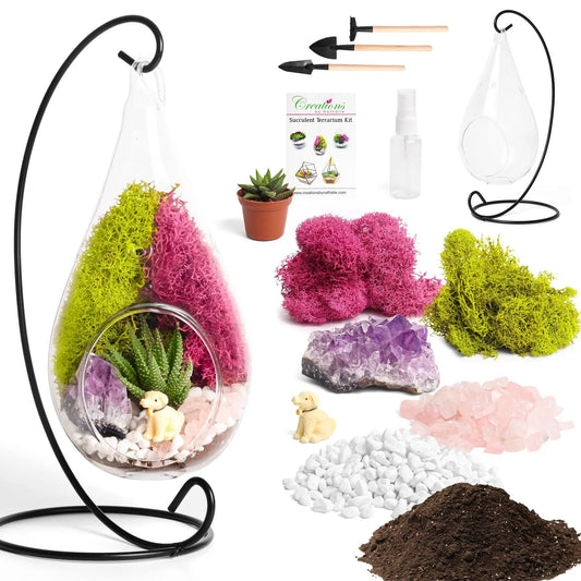7 Inch Glass Tear Drop Succulent Terrarium Kit with colorful moss, pebbles, and tools on Tampa Home & Garden Store