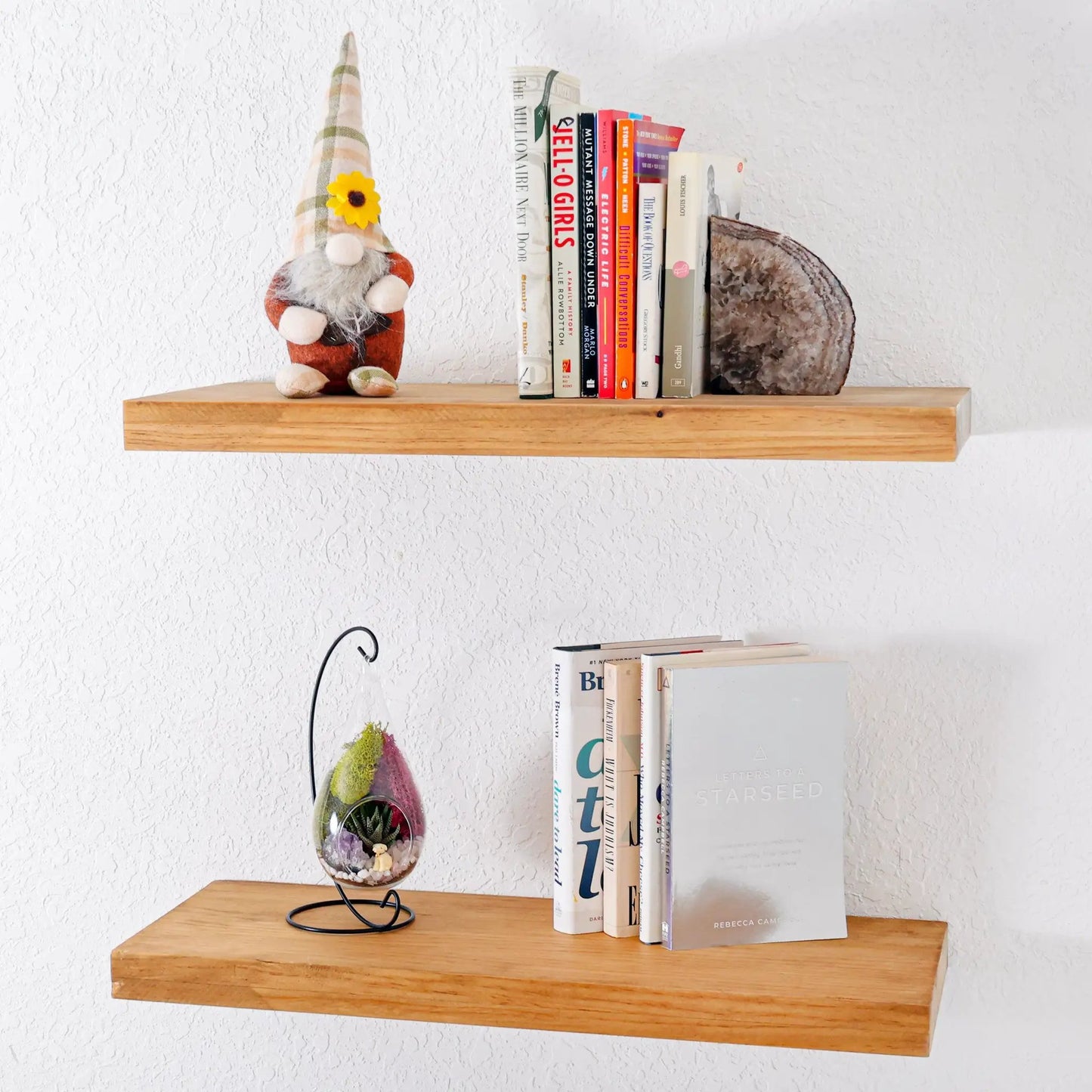 7-inch glass tear-drop succulent terrarium kit with colorful planted display on a wooden shelf on Tampa Home & Garden Store