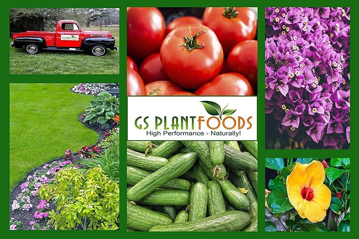 Superfection Emergency First Aid for Plants GS Plant Foods with tomatoes cucumbers and blooms on Tampa Home & Garden Store