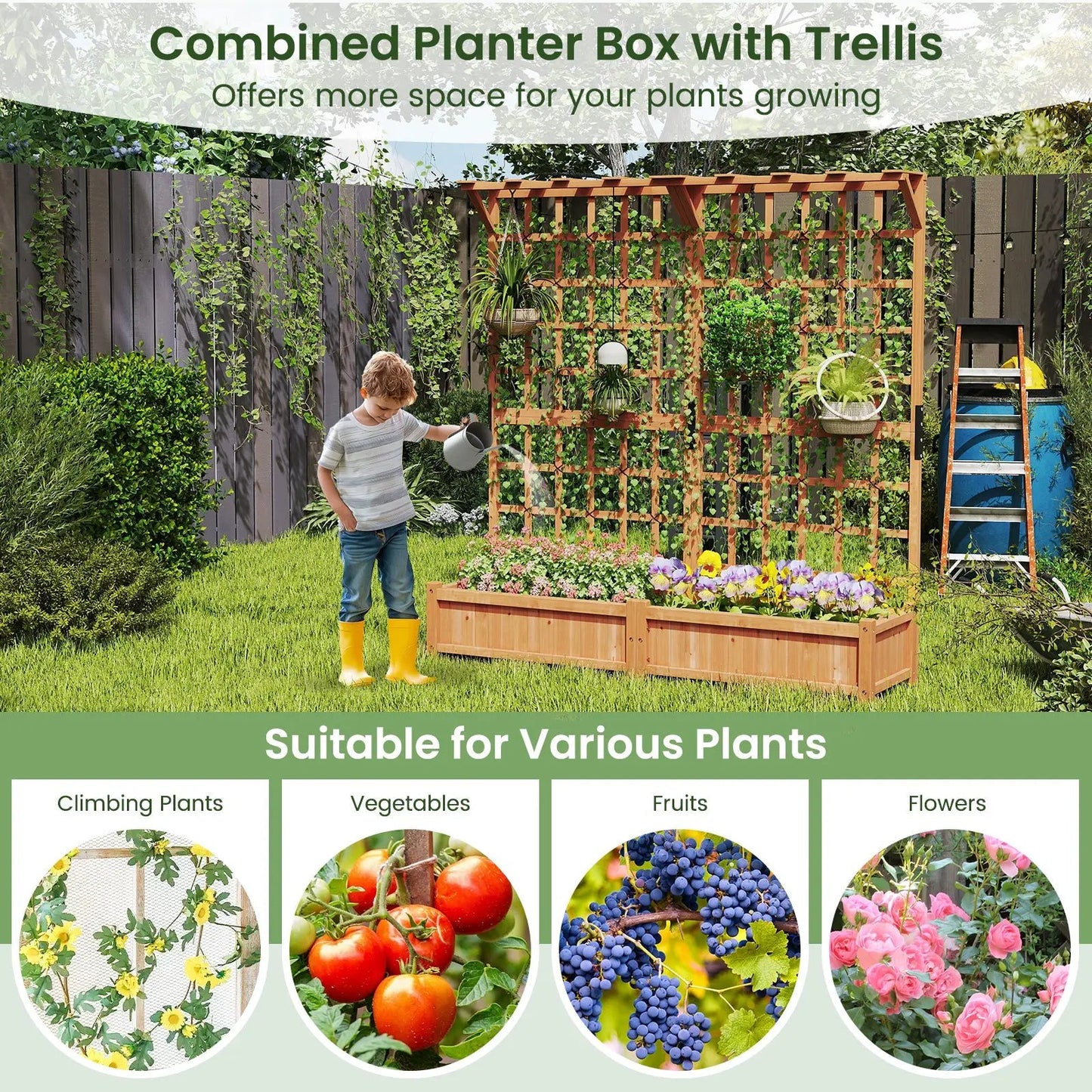 Wooden planter container with trellis roof, vines climbing lattice with hanging pots on Tampa Home & Garden Store