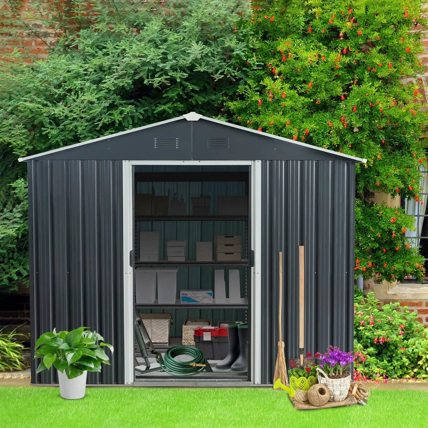 8ft x 10ft outdoor metal storage shed black with light trim, front open showing shelves and storage boxes inside surrounded by greenery on Tampa Home & Garden Store