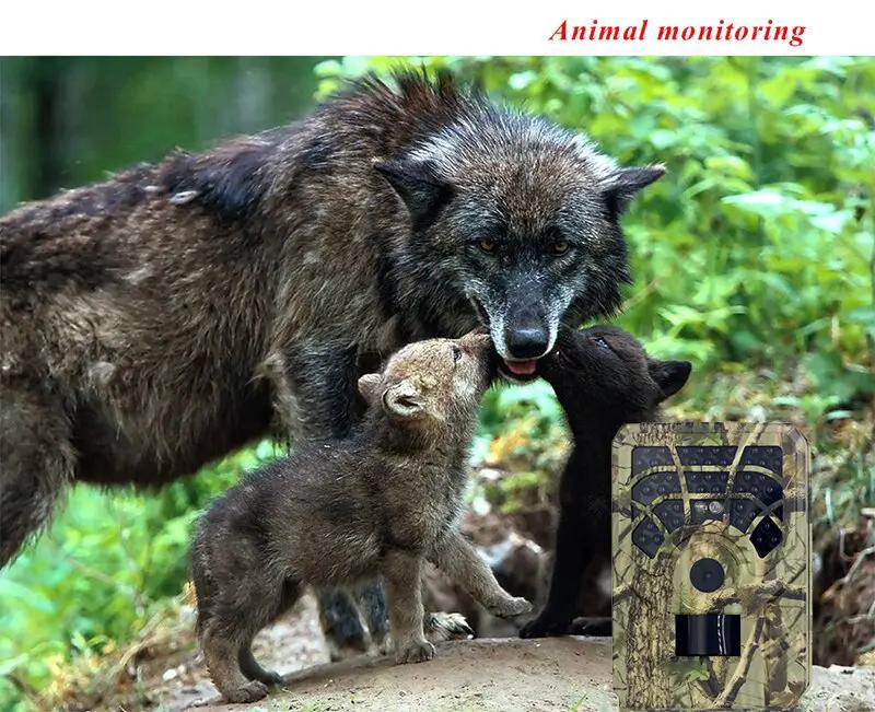 PR300A infrared night vision trail camera in camo with one adult wolf and two cubs on Tampa Home & Garden Store