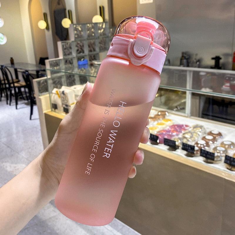 Water bottle 780ml pink gradient plastic with straw, leak-proof BPA-free sports bottle on Tampa Home & Garden Store