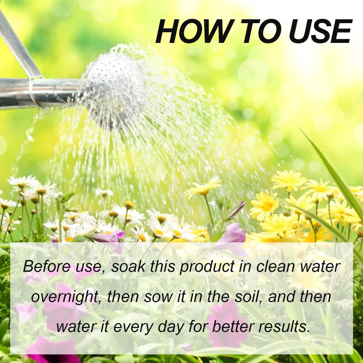 Plant Nutrient and Fertilizer For Healthy Growth fertilizer usage over flowers from sprinkler on Tampa Home & Garden Store