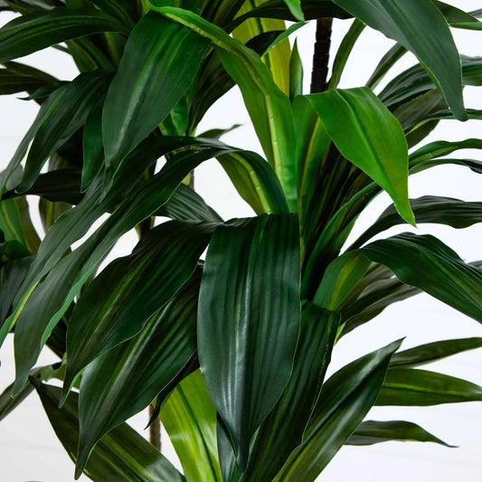 8 ft artificial dracaena tree with real leaves by Nearly Natural, glossy green foliage on Tampa Home & Garden Store