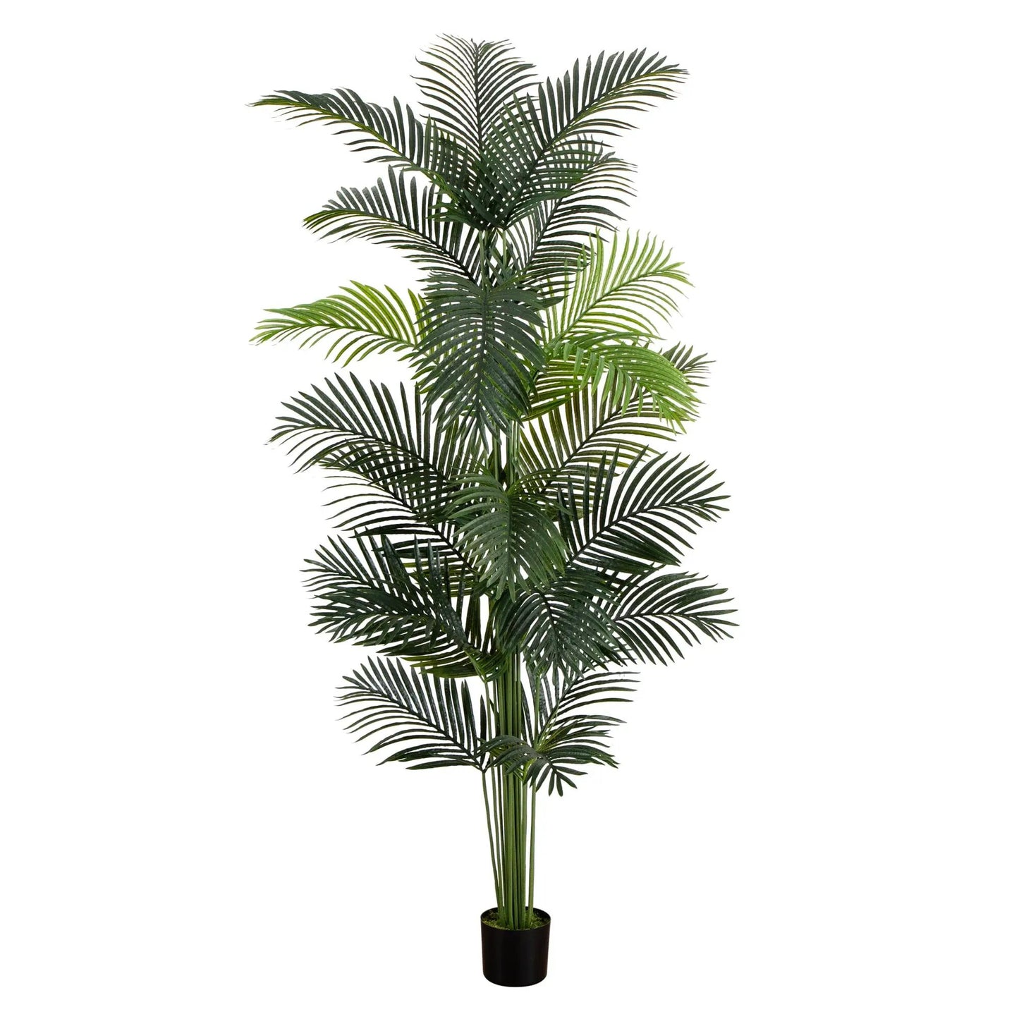 Nearly Natural eight foot Paradise Palm Tree in black planter, realistic artificial plant on Tampa Home & Garden Store