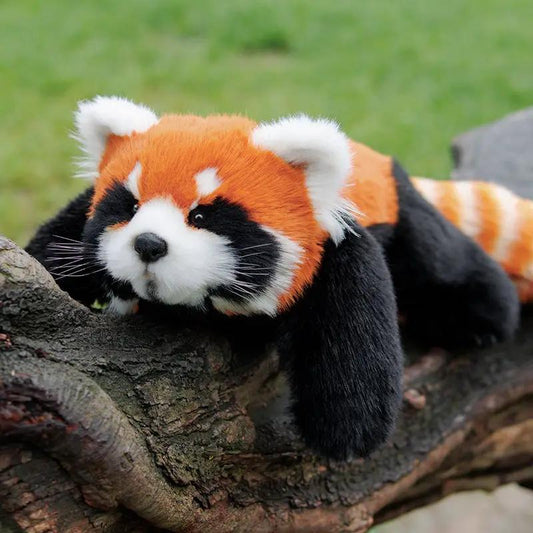 Red Panda Weighted Plush snuggle toy by Chongker, orange black white stuffed panda on Tampa Home & Garden Store