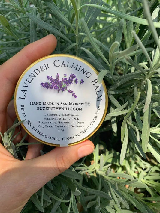 Lavender Calming Balm tin held by hand among lavender foliage, handmade in San Marcos TX on Tampa Home & Garden Store