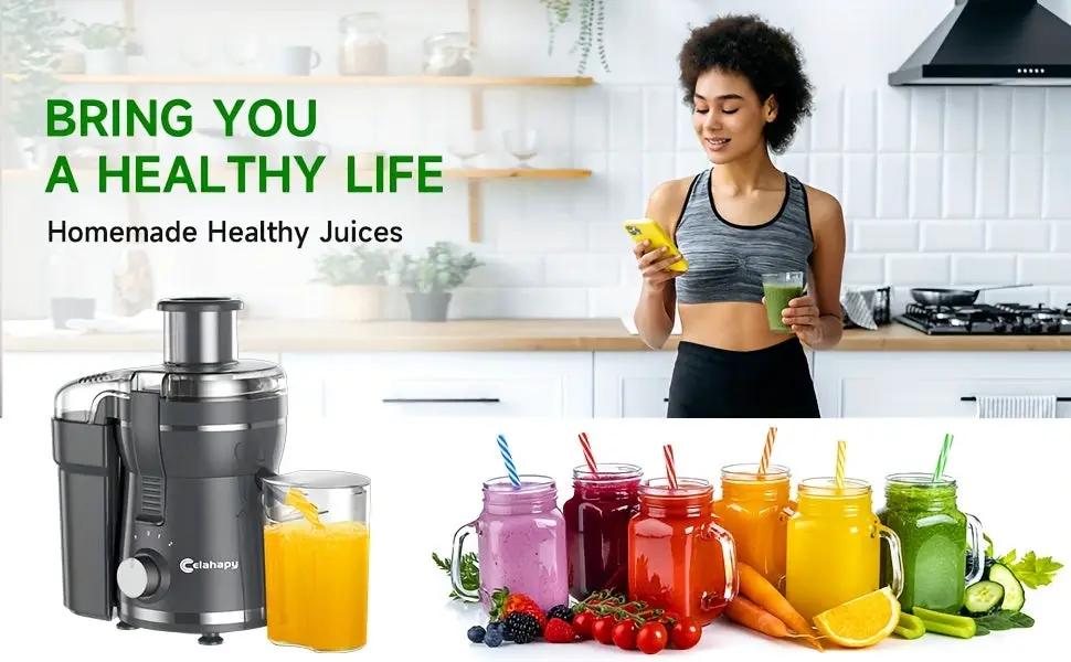 Moktan Sabai 500W Juicer Machine with dark gray stainless finish and wide-mouth feed chute on Tampa Home & Garden Store