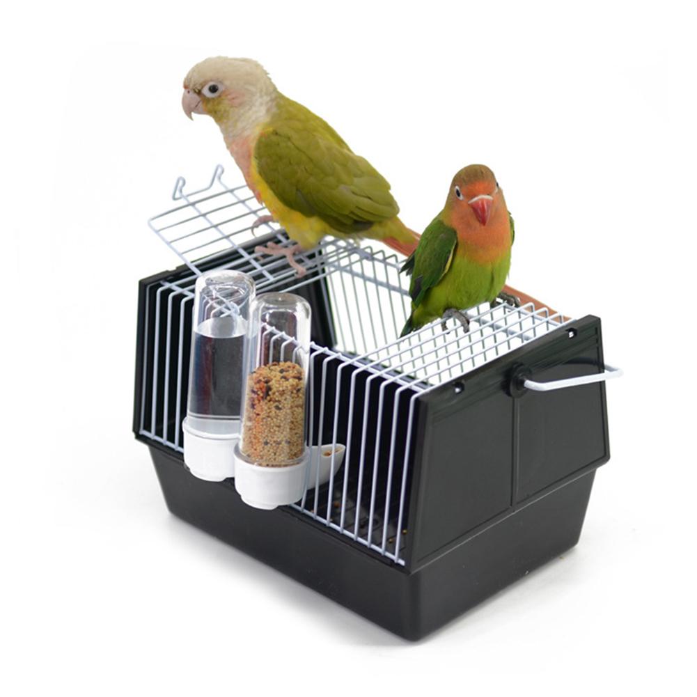 Bird cage with 2 parakeets on top, black base and silver wire bars, 2 seed dispensers on Tampa Home & Garden Store