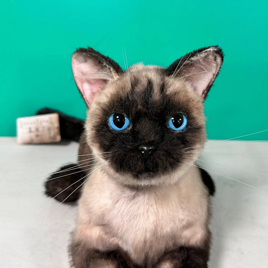 Plush Siamese cat life-size companion with blue eyes and brown-tan fur head and neck close-up on Tampa Home & Garden Store