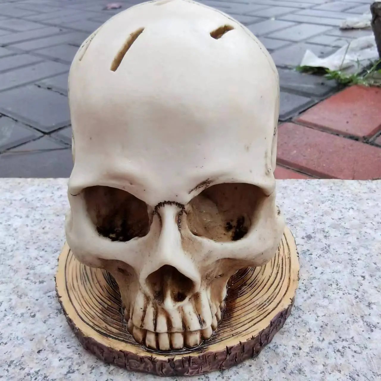 Decorative Halloween skull sculpture on a round wood base in ivory color on Tampa Home & Garden Store