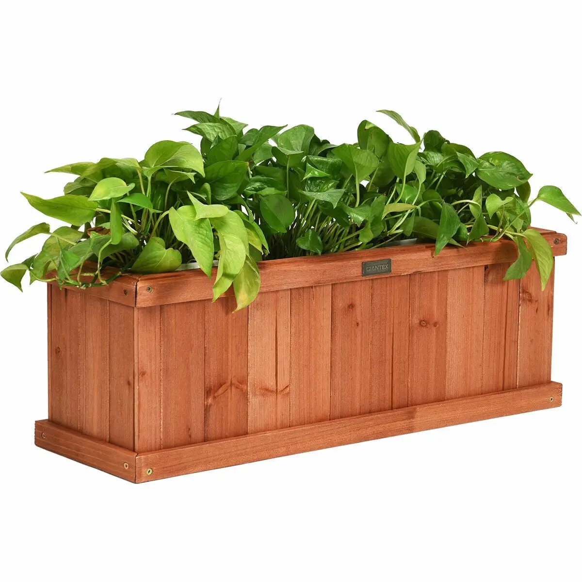 Wooden planter box for garden window made from natural fir with foliage by DirectDeals on Tampa Home & Garden Store