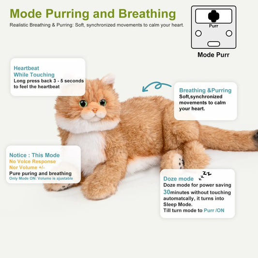 Percy 2.0 Golden Shorthair Interactive Plush Cat with Heartbeat by Chongker on Tampa Home & Garden Store