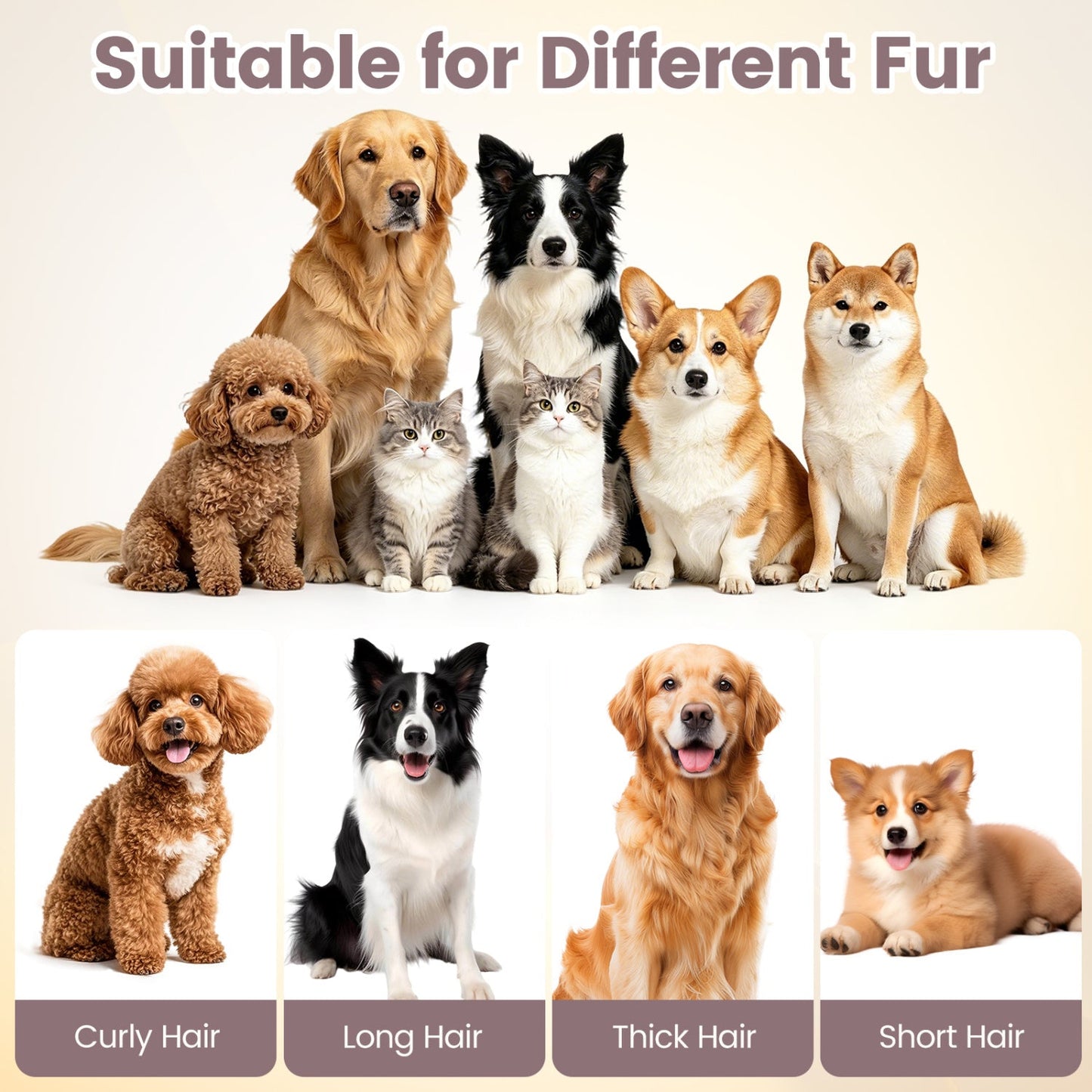 9-in-1 Dog Grooming Vacuum Kit with 3 suction modes DirectDeals; dogs with diverse fur types on Tampa Home & Garden Store