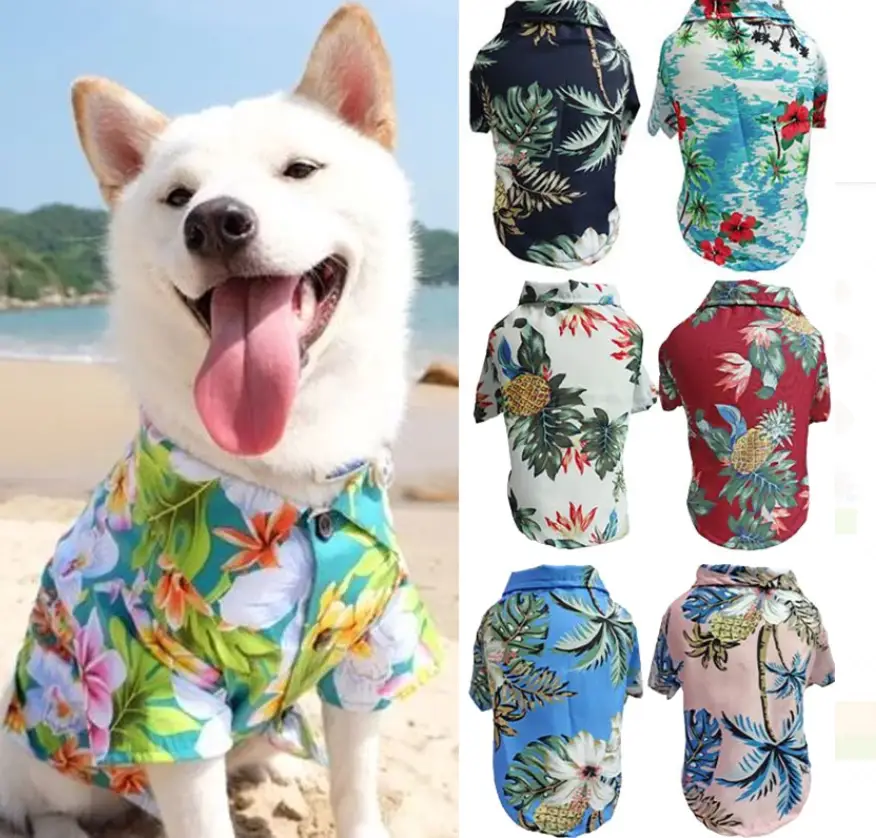 Pet shirt Pineapple Print Beach Dog Tee by Furr Baby Gifts; dog in tropical floral shirt on Tampa Home & Garden Store