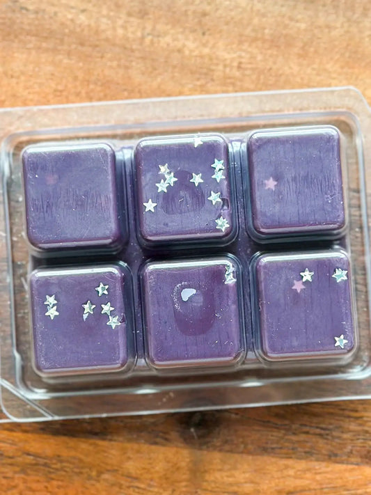 Hidden Library Wax Melt Teakwood and Plum purple wax melts with silver star glitter in a 6-pack on Tampa Home & Garden Store