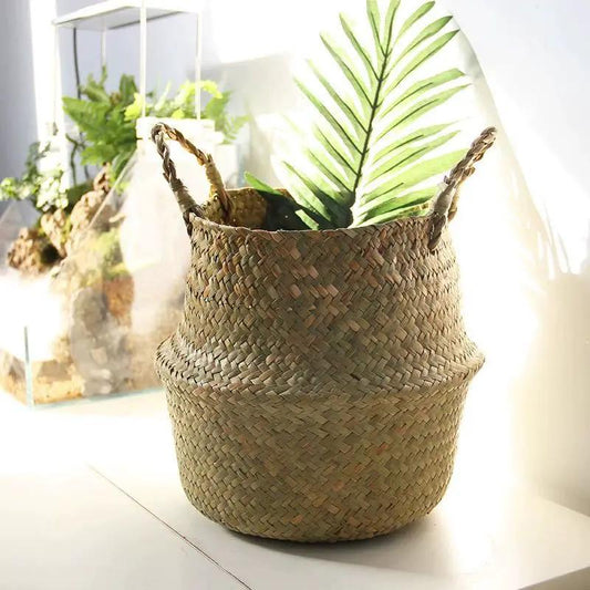 Scandinavian wicker plant pot and floor basket with handles, brown weave holding a green plant on Tampa Home & Garden Store