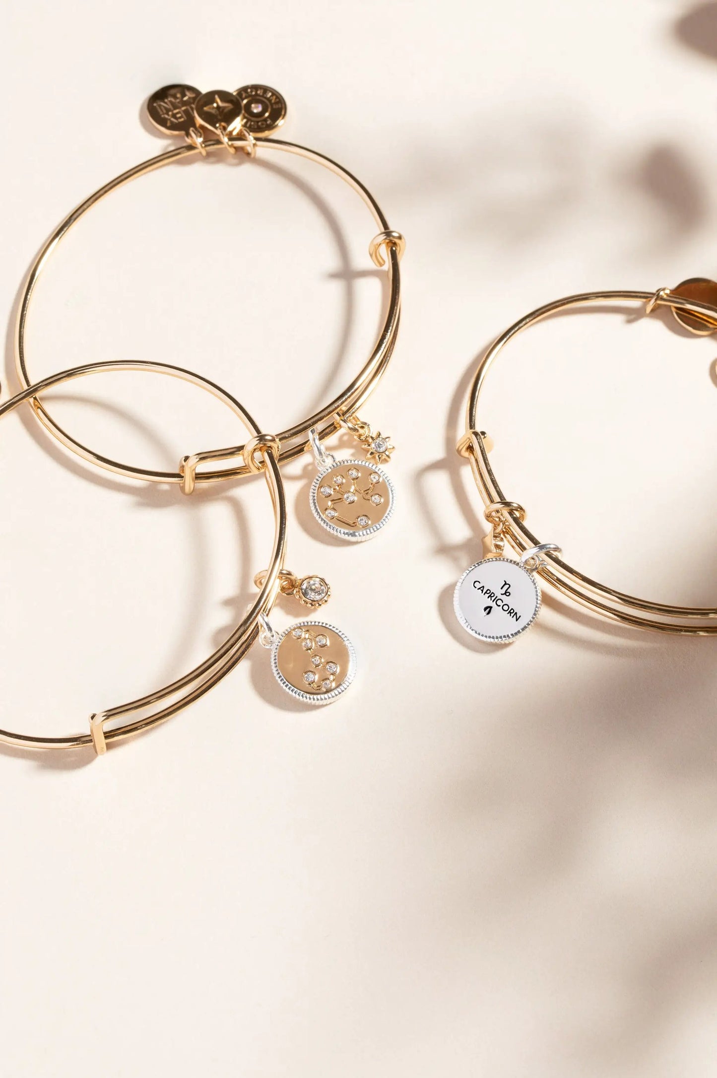 Sagittarius Zodiac Charm Bangle by Alex and Ani, gold-tone bracelet with zodiac charms on Tampa Home & Garden Store
