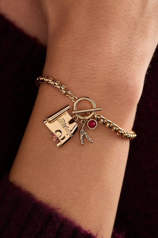Bracelet Wizard of Oz Scarecrow Toggle by ALEX AND ANI gold with scarecrow charm and red gemstone on Tampa Home & Garden Store
