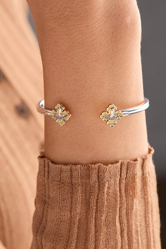 2 Cowardly Lion cuffs by ALEX AND ANI, silver bands with gold-tone charms and COURAGE enamel on Tampa Home & Garden Store