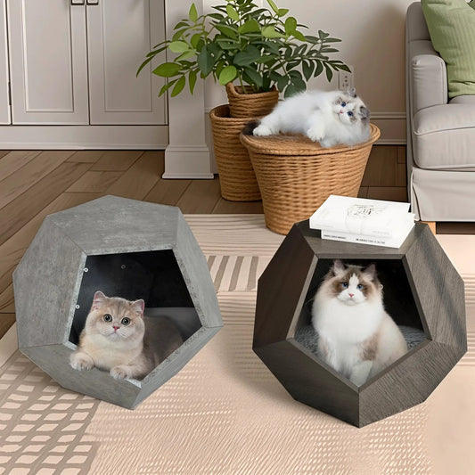 Modern cat litter and sofa side table with two gray concrete hex cat houses and fluffy cats on Tampa Home & Garden Store
