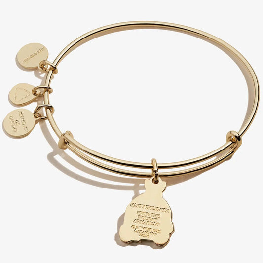 FRIENDS Holiday Armadillo Bangle by ALEX AND ANI, gold-tone bracelet with armadillo and disc on Tampa Home & Garden Store