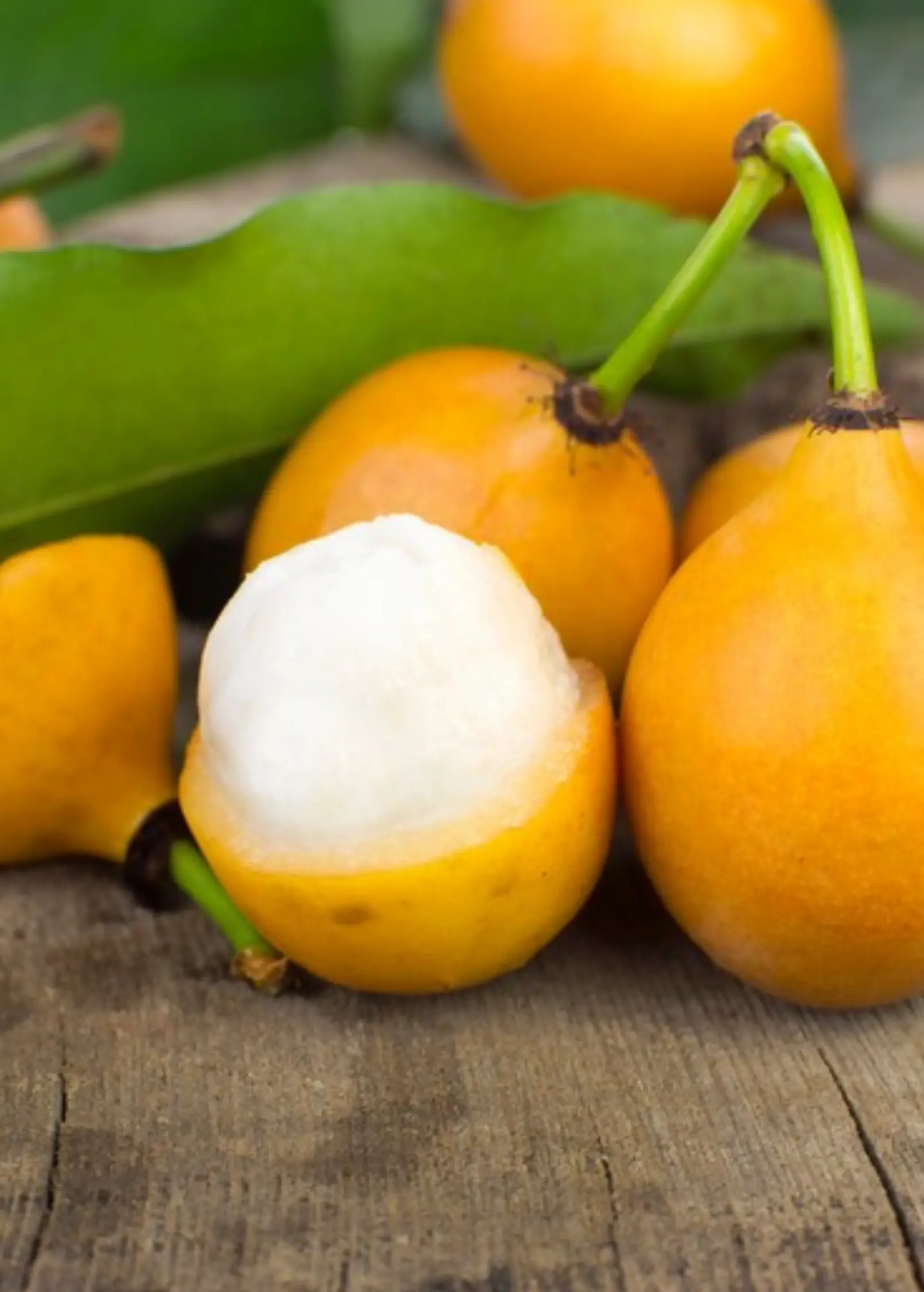 Achacha cluster Garcinia humilis yellow-orange berries with white flesh and green stems on Tampa Home & Garden Store