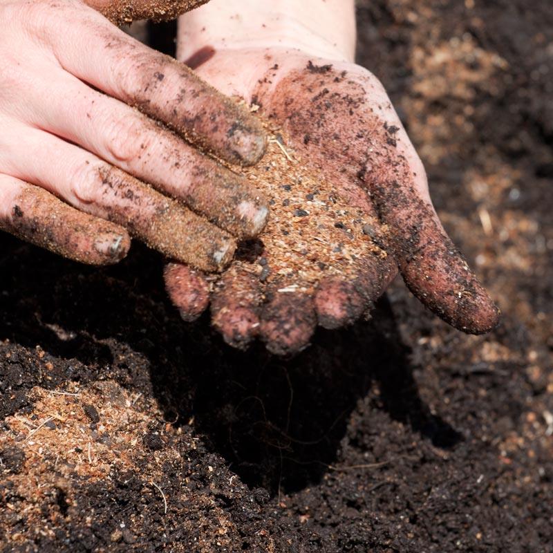 Acid Mix (25 lb Bag) - Tampa Home & Garden Store