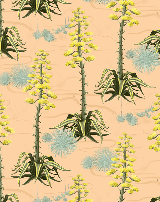 Agave Valley Peach Wallpaper modern desert art with peach and yellow stalks and blue tufts on Tampa Home & Garden Store