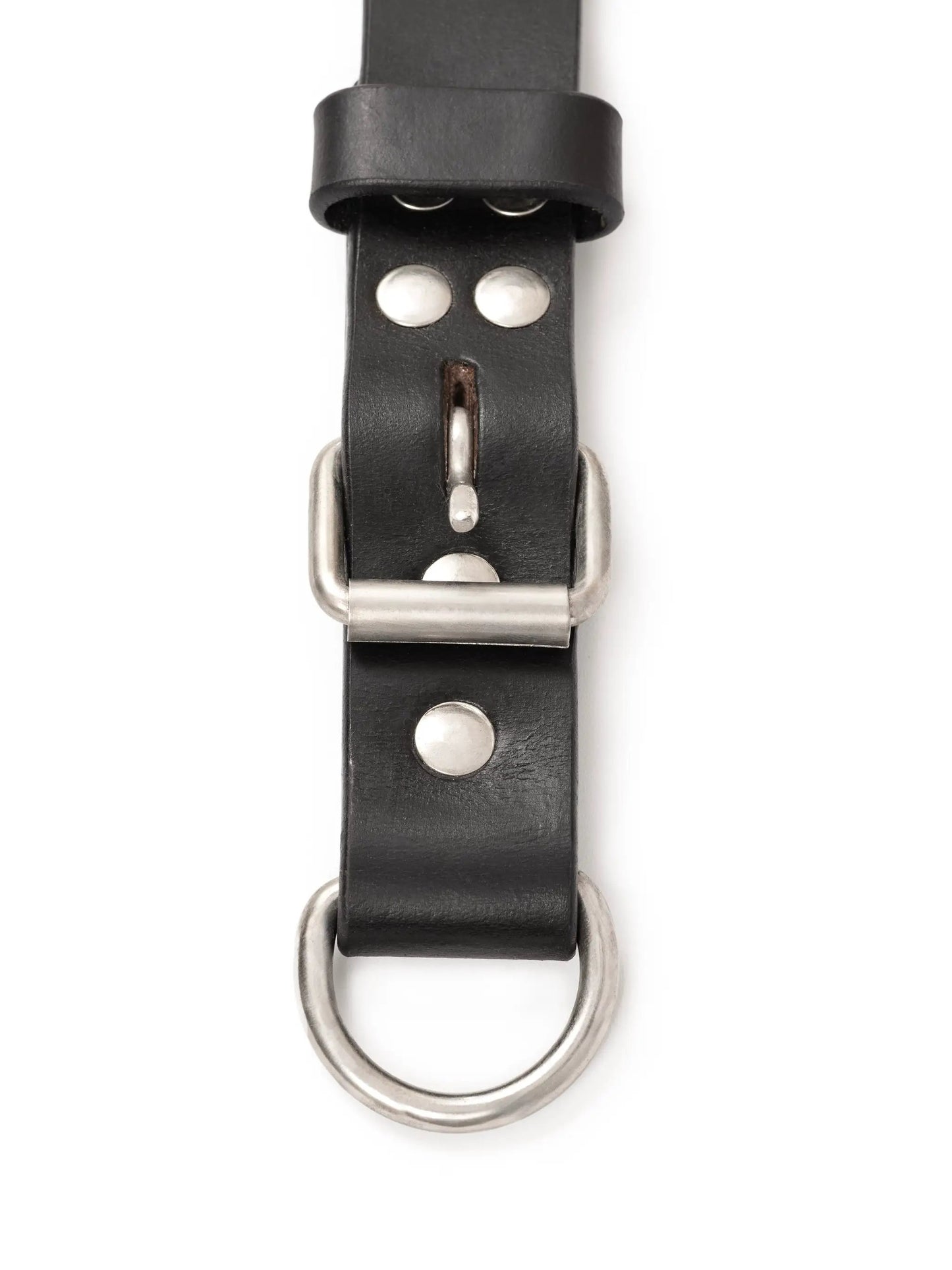 Agitation leather dog collar for all breeds, black leather with silver rivets and buckle on Tampa Home & Garden Store