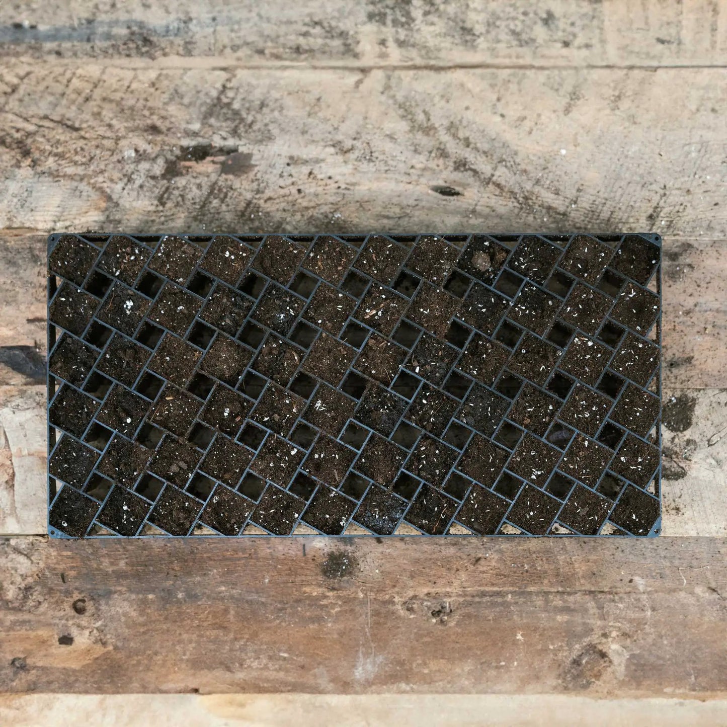Air Prune Propagation Tray 72-Cell Bootstrap Farmer black plastic cell tray on Tampa Home & Garden Store