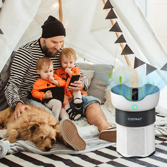 Air Purifier COSTWAY white up to 1300 sq ft with sleep mode on Tampa Home & Garden Store