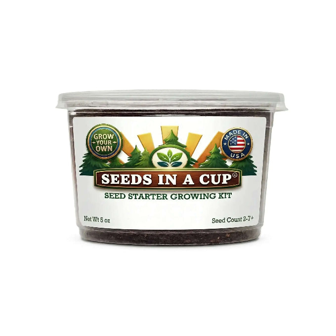 American Elm Tree Grow Kit - Tampa Home & Garden Store