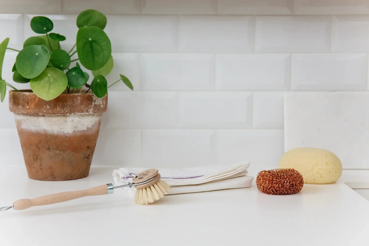 Andr Jardin Sustainable Dish Cleaning with wooden brush and copper scrubbers on white counter on Tampa Home & Garden Store