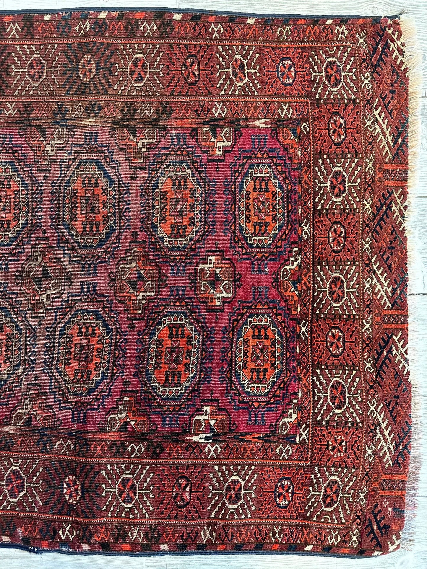 Rug Antique Turkoman tribal 3x4 with red field and geometric medallions on Tampa Home & Garden Store