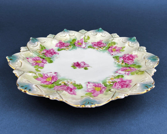Antique Decorative Plate by Imperial Vienna. Hand Painted Collectable Serving Platter. M.Z. Austria. 1900-1909. - Tampa Home & Garden Store