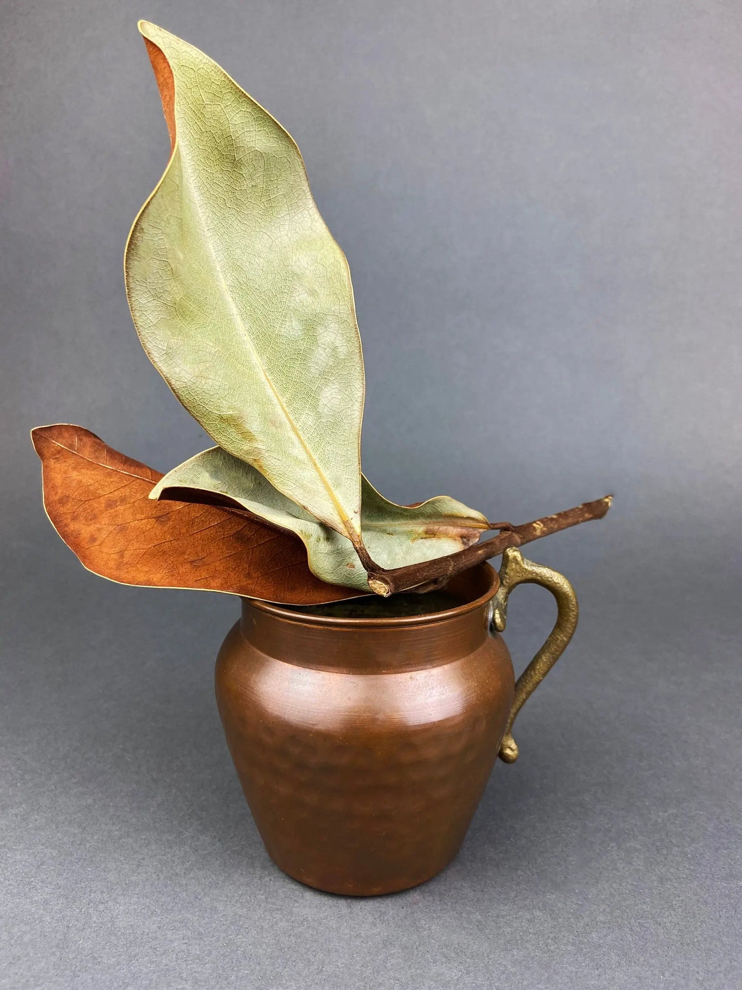 Antique hand hammered brass and copper jardiniere vase with handle and dried magnolia leaves on Tampa Home & Garden Store