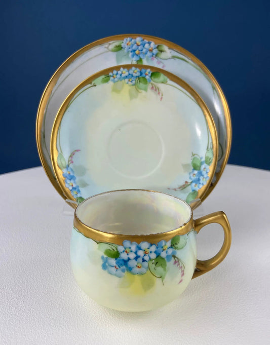 Nippon teacup and saucer set with forget-me-not floral motif, pale mint glaze, gilded rims on Tampa Home & Garden Store