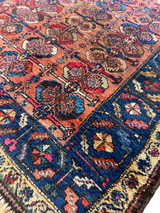 Antique Rug Rugistan Persian Hamedan Enjelas with coral and navy, intricate medallions on Tampa Home & Garden Store