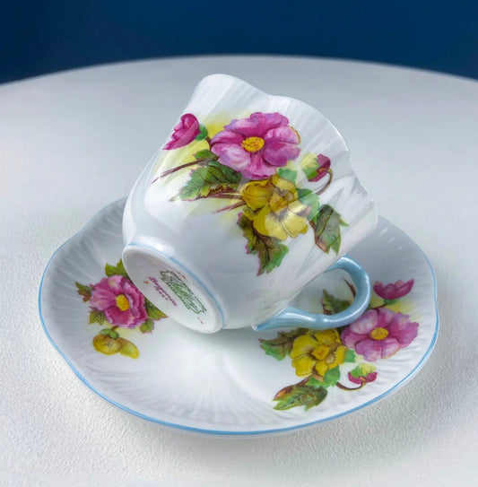 Antique Shelley cup and saucer with begonia motif, fine porcelain, blue trim on Tampa Home & Garden Store