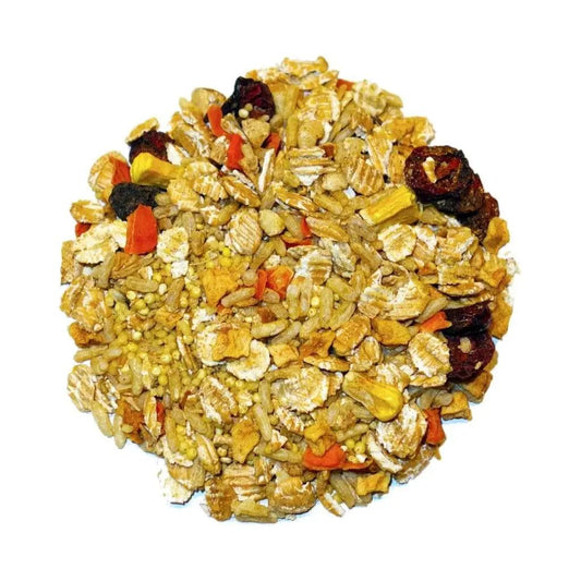 Parrot food AppleBerry Feast on the Fly Bird Street Bistro colorful seed pellet mix on Tampa Home & Garden Store