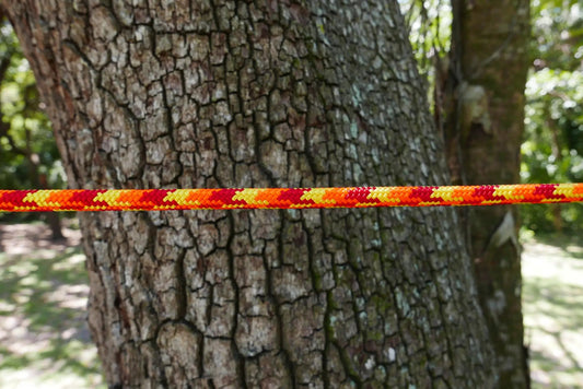 Arbo Space Huracan 11.5mm climbing rope bright red braid across tree outdoors on Tampa Home & Garden Store