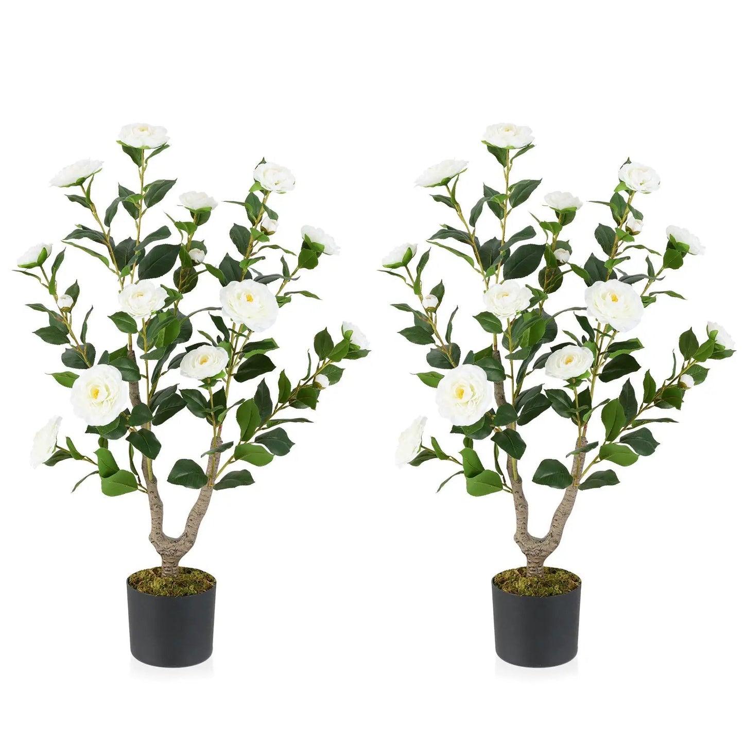 36 Inch Camellia Tree artificial, white blooms, green leaves, 2-pack DirectDeals on Tampa Home & Garden Store