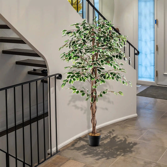Tall variegated ficus artificial tree with 1008 leaves and braided trunk in black nursery pot on Tampa Home & Garden Store